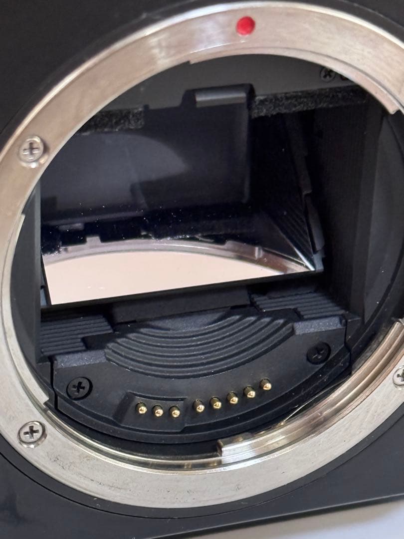 Canon EOS-1V Film キャノン フィルム 一眼レフカメラ