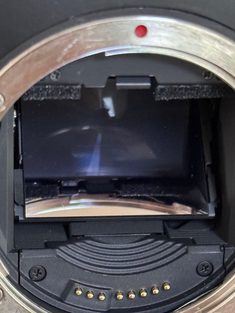 Canon EOS-1V Film キャノン フィルム 一眼レフカメラ