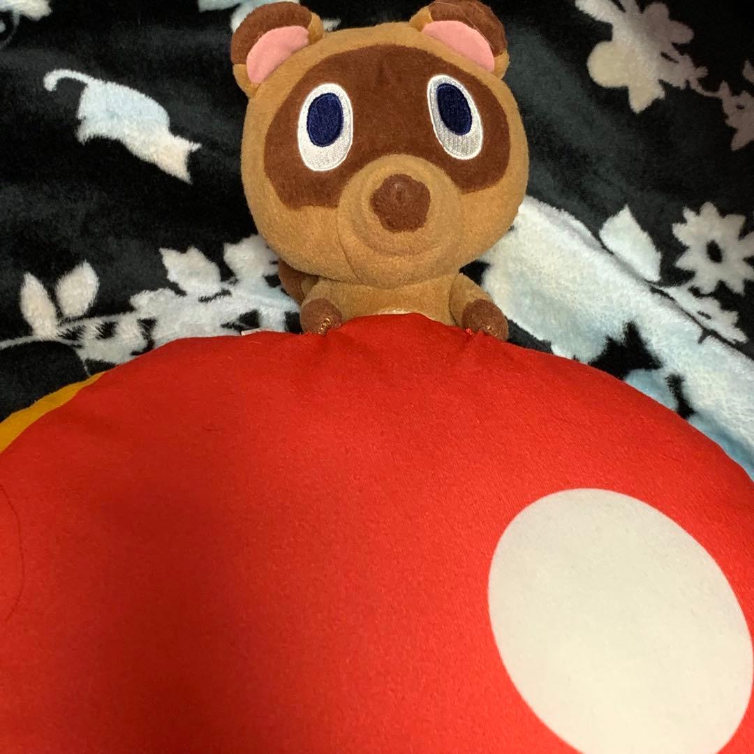 f*X様 まめきちつぶきち まとめ売り