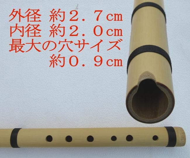 ペルー ケーナ Z-V02 フォルクローレ楽器 民族楽器 ケース付 アンデス楽器