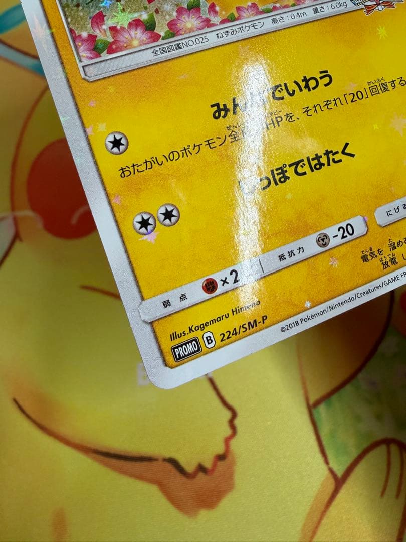 ポケモンカード ピカチュウ みんなでいわう 224/SM-P プロモ 20th