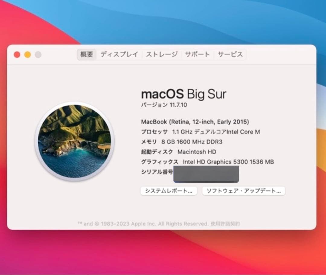 Apple MacBook 2015 12インチ 8GB/256GB グレー