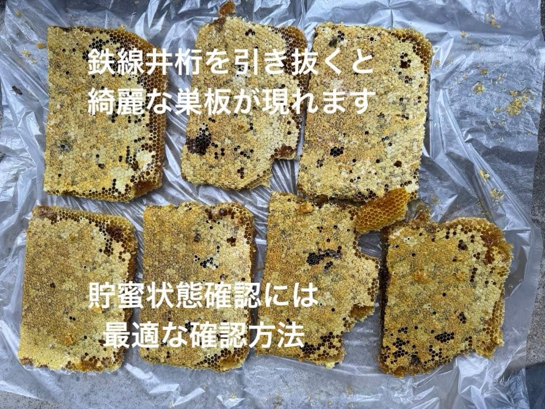 日本蜜蜂 重箱式巣箱4段 スライド底板 付巣門台座　スノコ付き