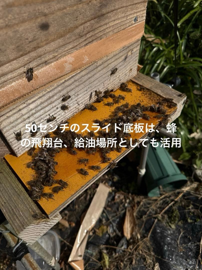 日本蜜蜂 重箱式巣箱4段 スライド底板 付巣門台座　スノコ付き