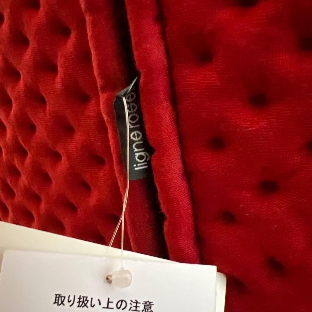 リーンロゼ プルム 2P