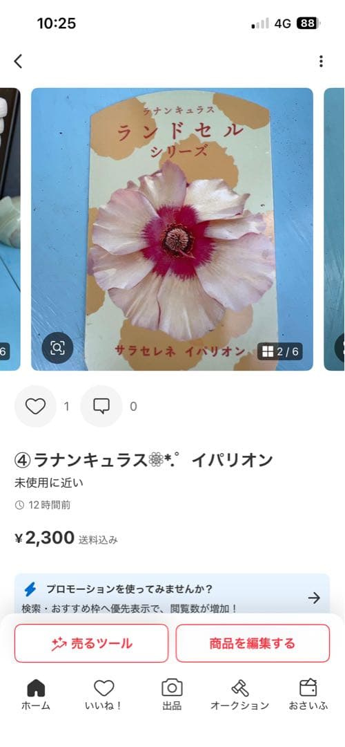 ⑤ラナンキュラス❁⃘*.゜パルセノス➕イパリオン➕ラゴス