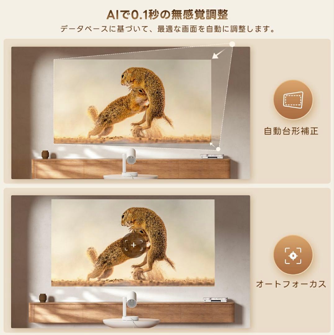 ETOE プロジェクター　StarfishPlus