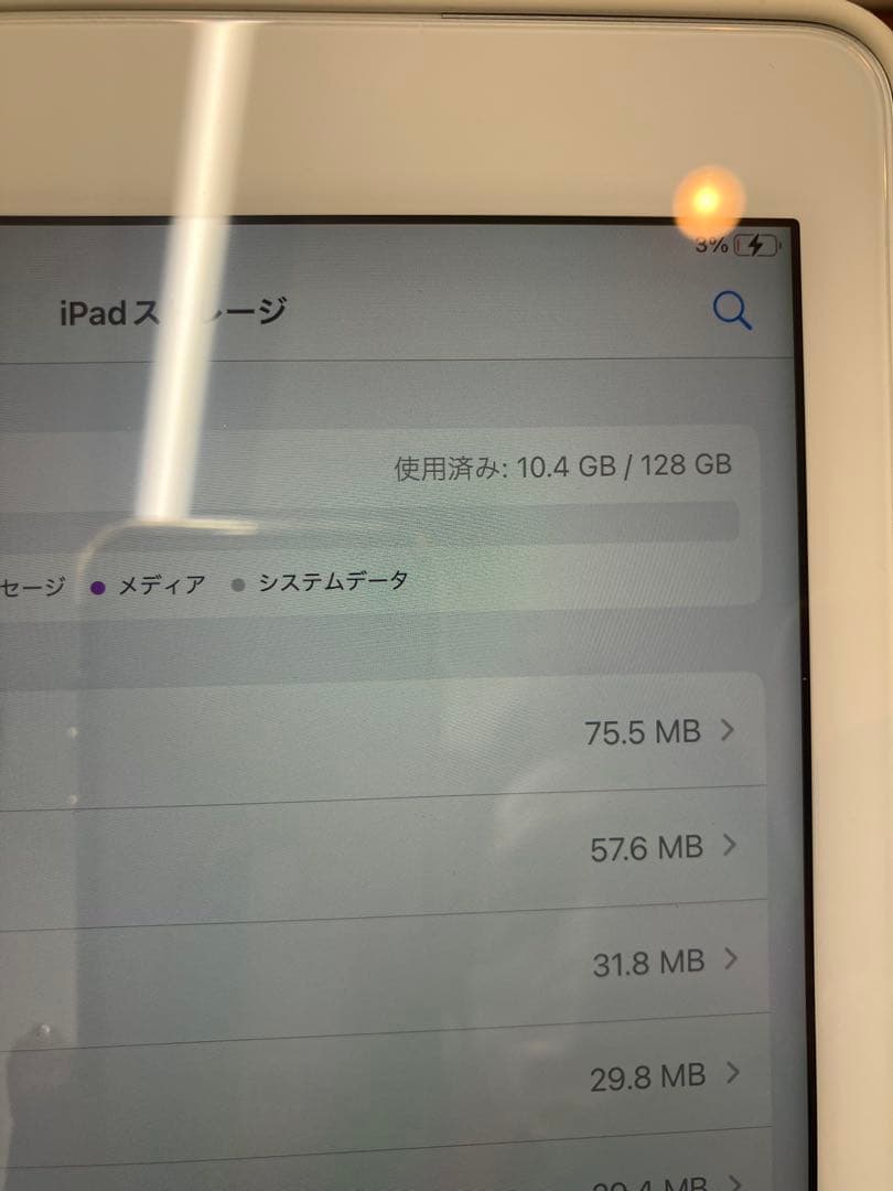 ホワイト iPad Pro本体
