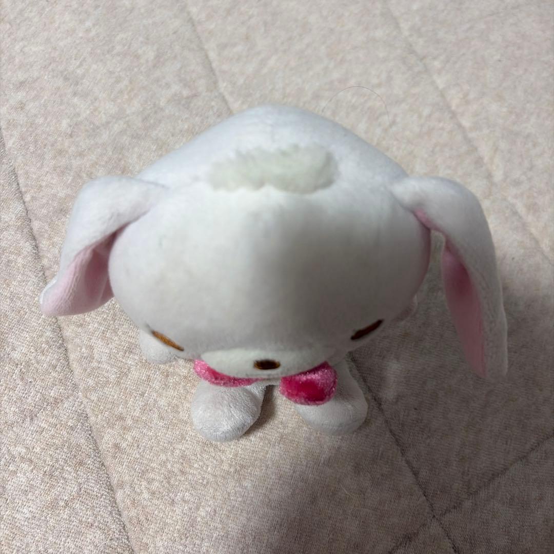 シュガーバニーズ しろうさ ぬいぐるみ