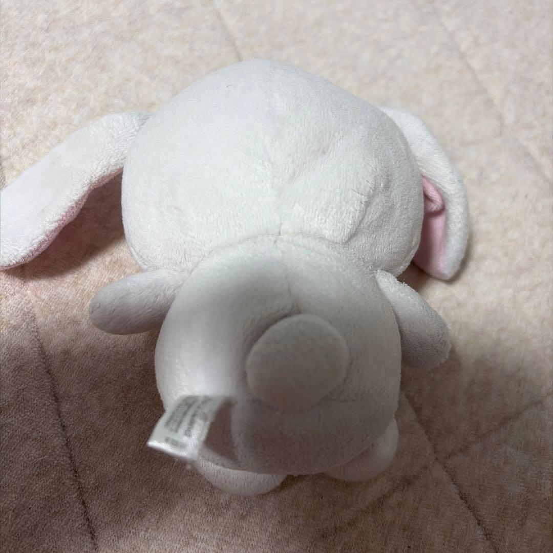 シュガーバニーズ しろうさ ぬいぐるみ