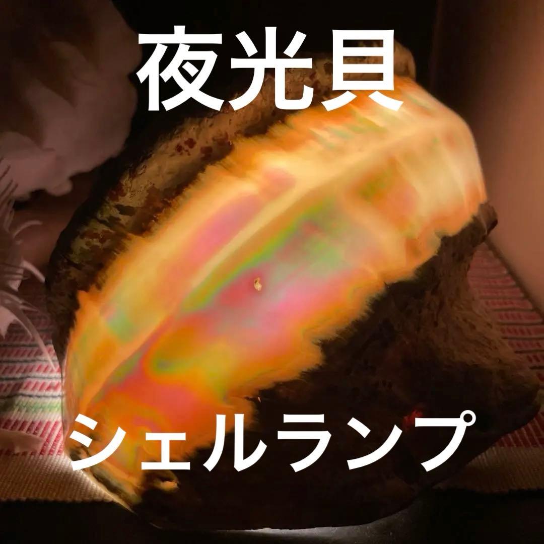 大型夜光貝　真珠磨き　インテリア　飾り物　　　　　　　　　アクセサリー　オブジェ
