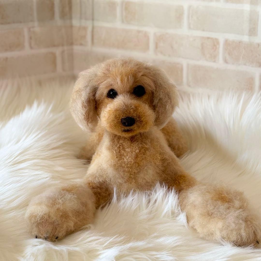 羊毛フェルト　オーダー　トイプードル　らんぼー君様