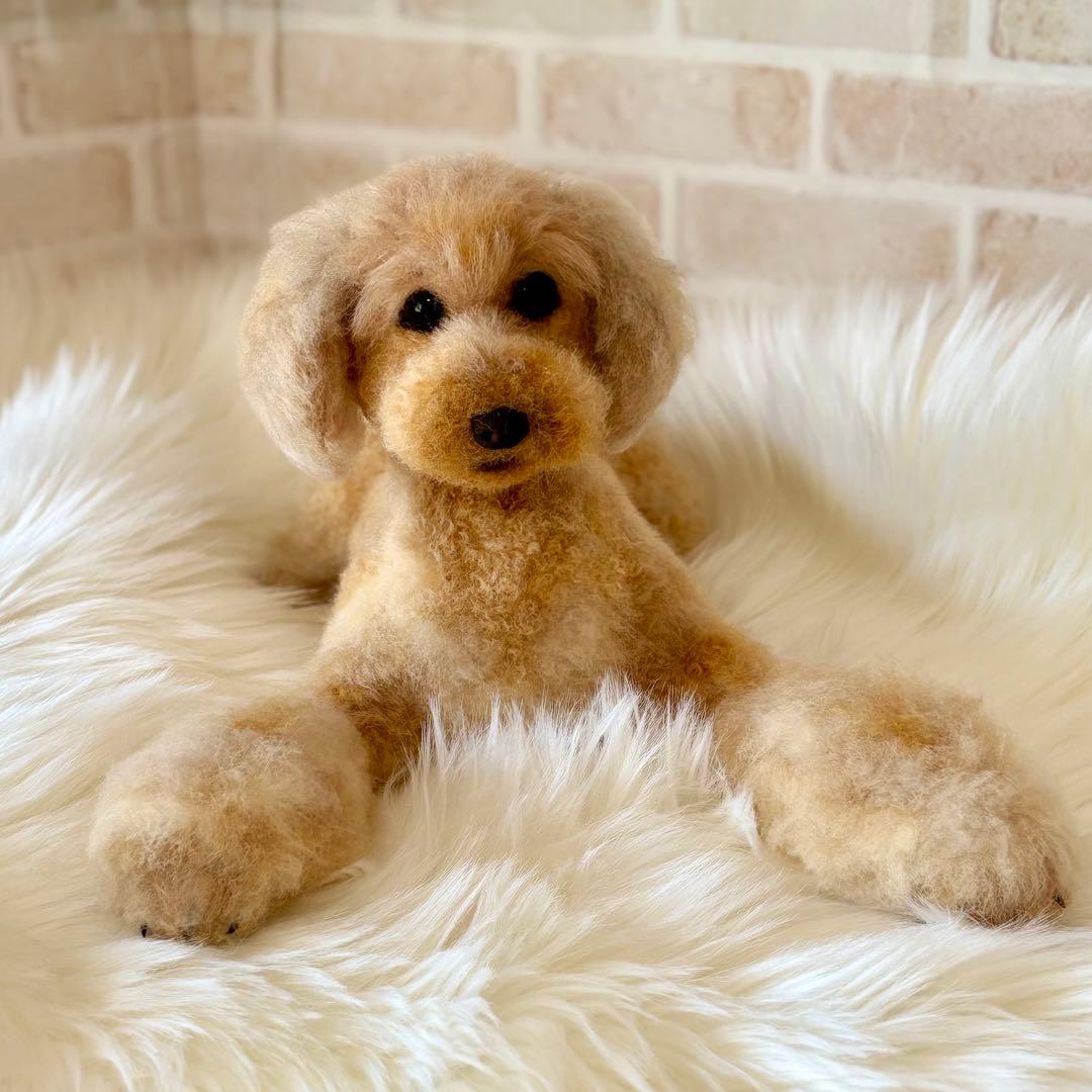 羊毛フェルト　オーダー　トイプードル　らんぼー君様