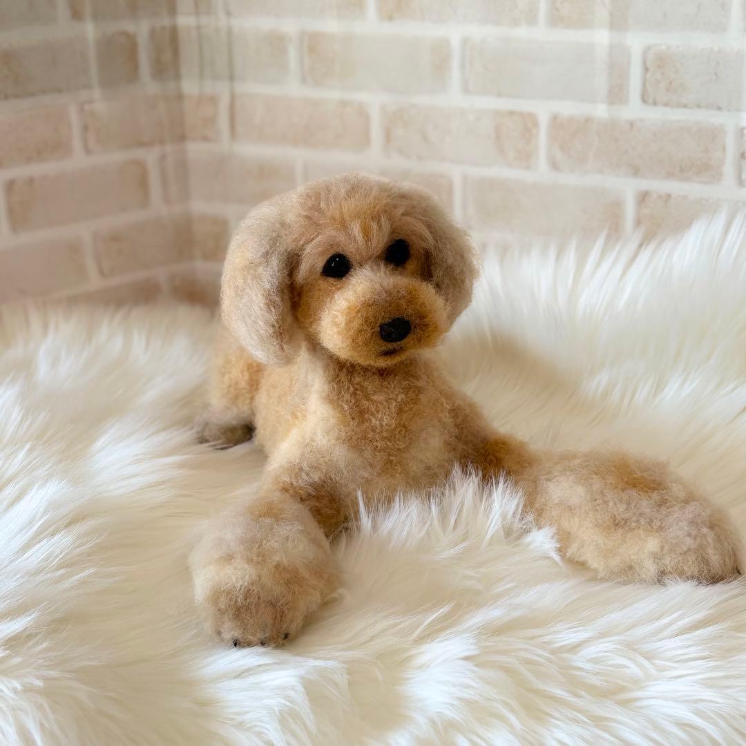 羊毛フェルト　オーダー　トイプードル　らんぼー君様
