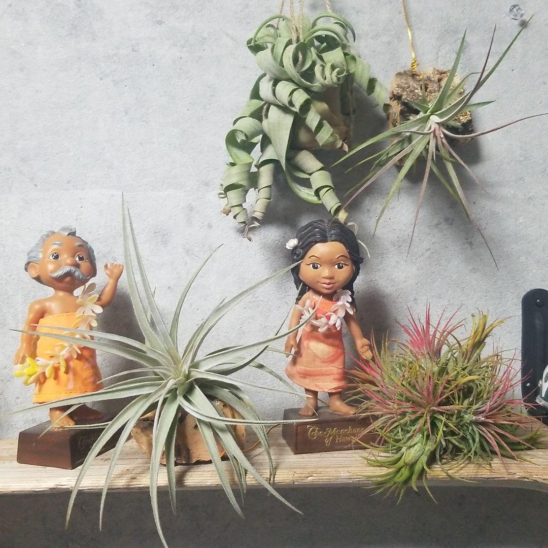 医療関係者様確認用