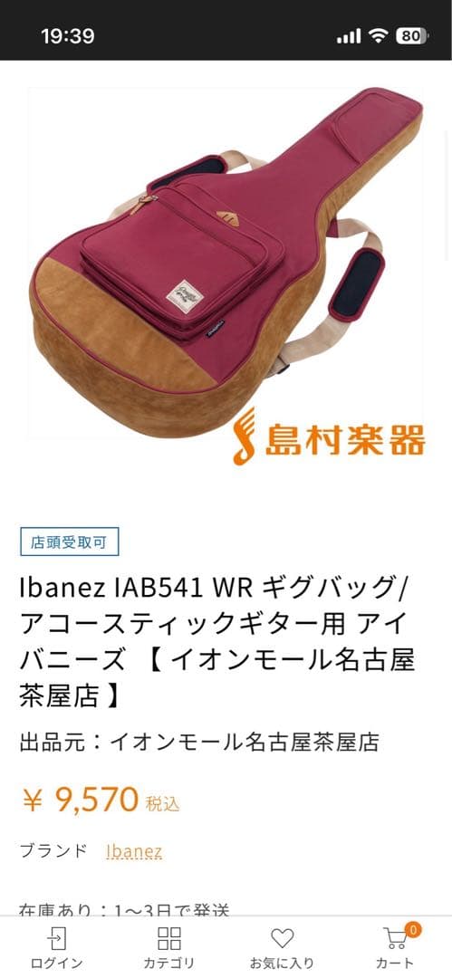 Ibanez アコースティックギター 5B02PW170902636 ケース付き