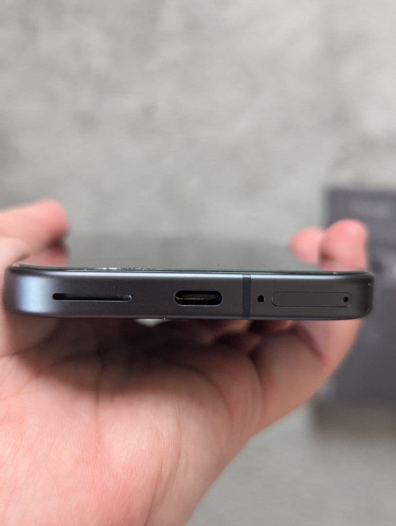 Google Pixel 9 Obsidian 本体オマケ付き