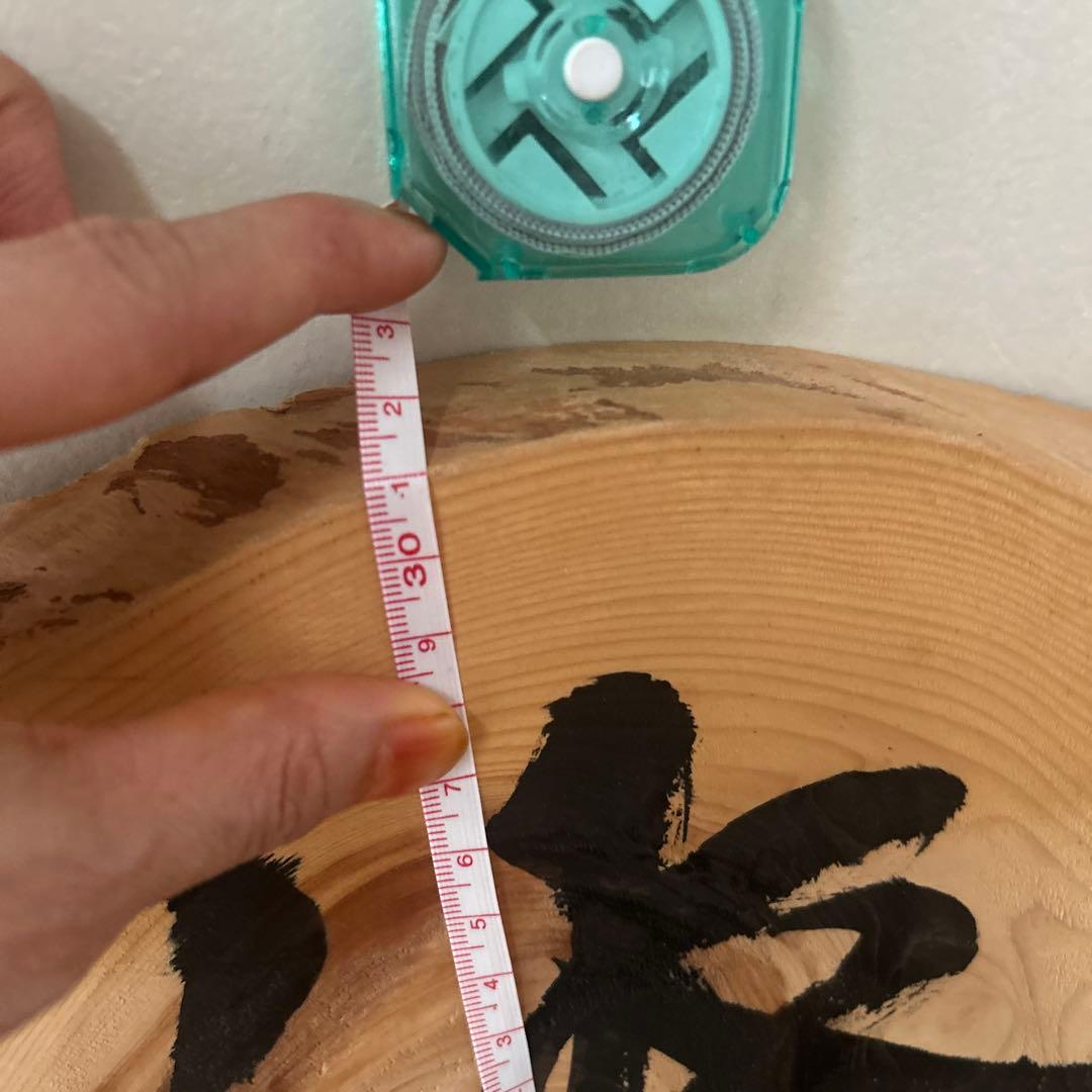 諏訪大社 御柱 百花繚乱