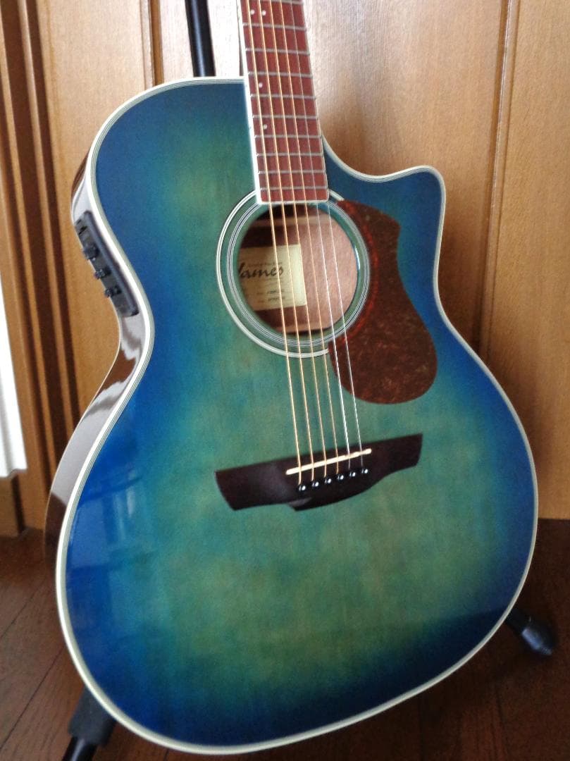 James J-350C EBU　Fishman製ピックアップ　美品！