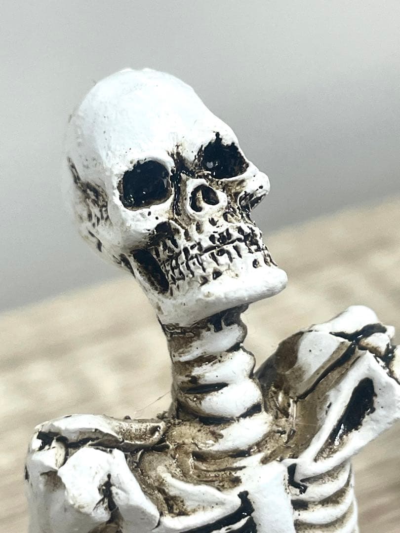 【5体】どくろ スカル 置物 置き物 髑髏 骸骨 ガイコツ インテリア オブジェ