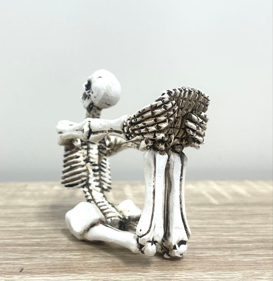 【5体】どくろ スカル 置物 置き物 髑髏 骸骨 ガイコツ インテリア オブジェ