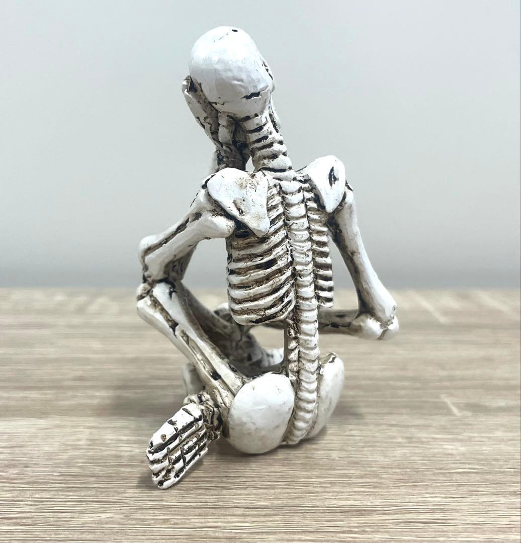 【5体】どくろ スカル 置物 置き物 髑髏 骸骨 ガイコツ インテリア オブジェ