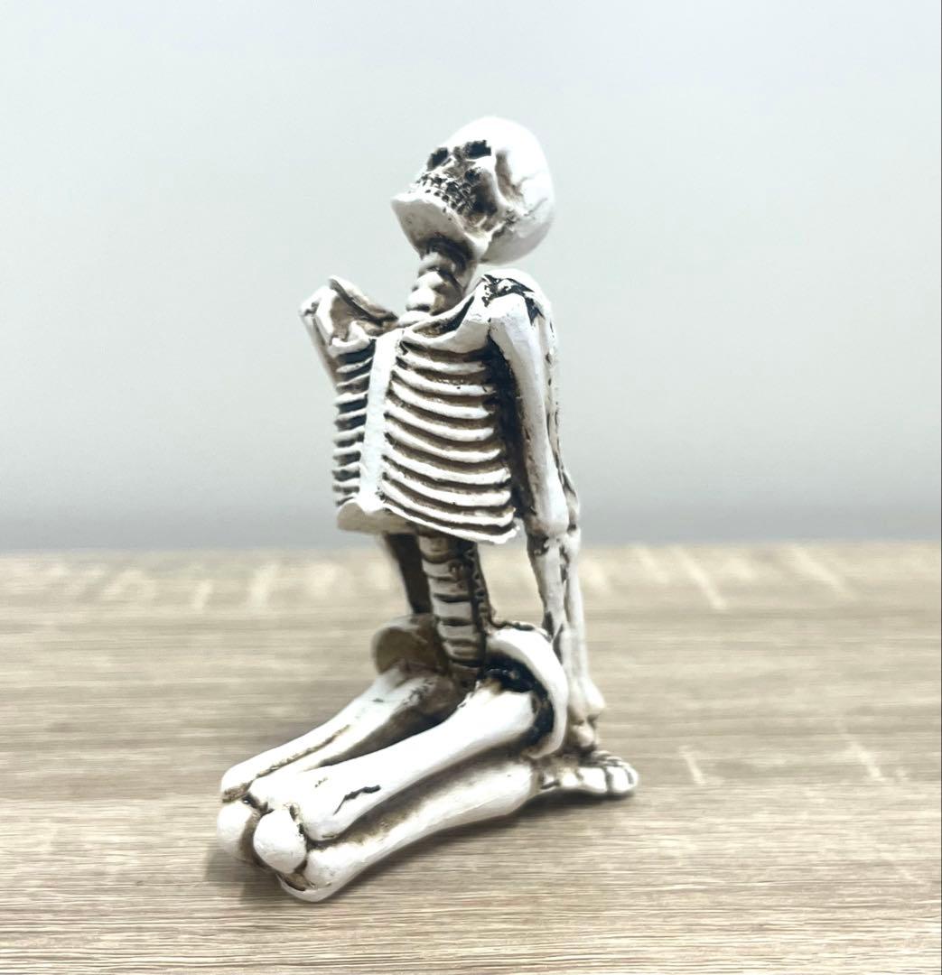 【5体】どくろ スカル 置物 置き物 髑髏 骸骨 ガイコツ インテリア オブジェ