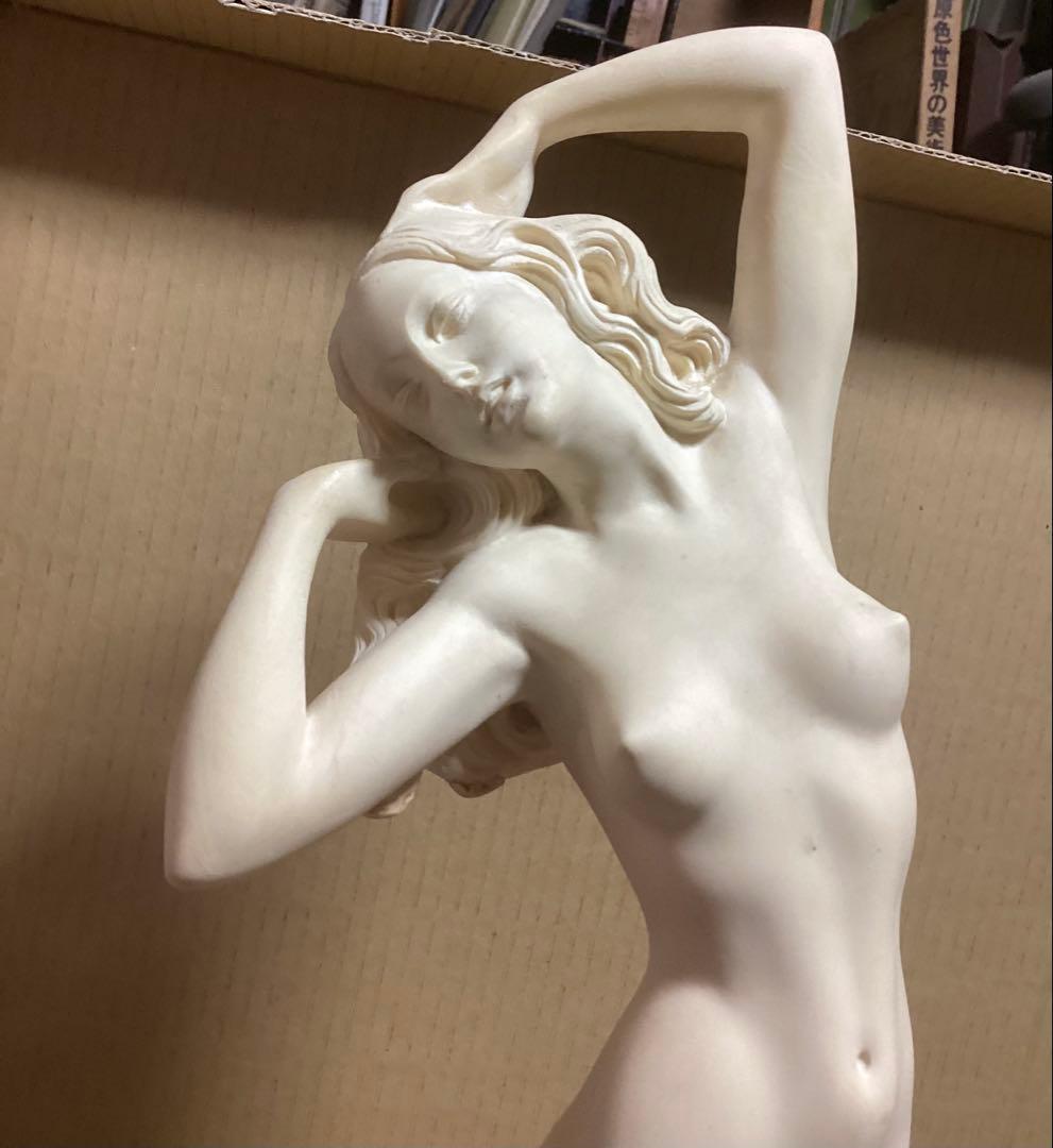 サンチャゴ イタリア製 樹脂製 ヴィーナス像 ５０㎝ ホワイト