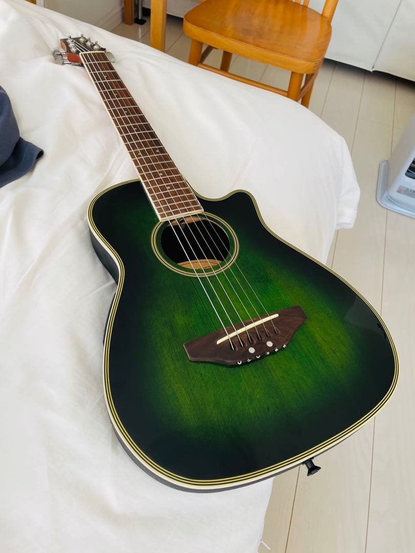 【たいきたいきん】マスタークラフト　ミニエレアコギター