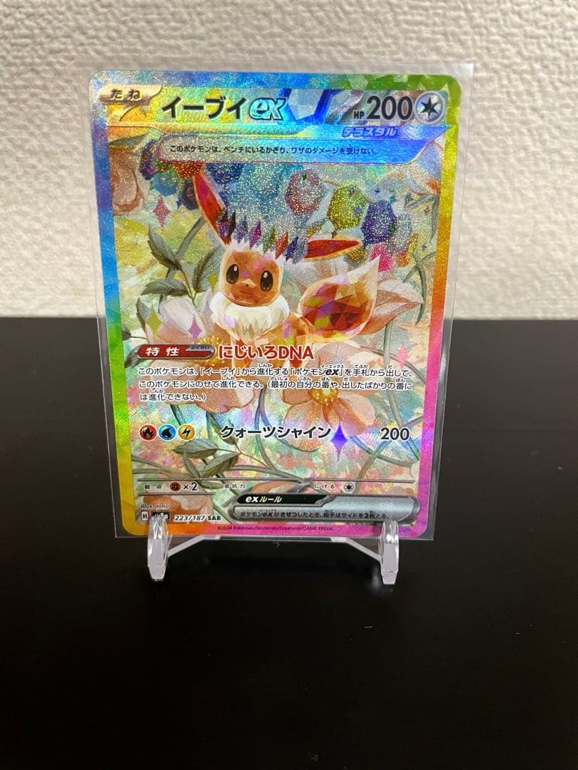 テラスタルフェス ブイズ SAR まとめ売り セット