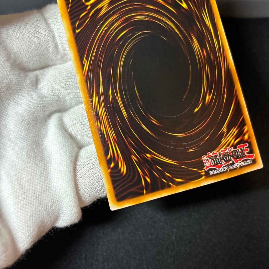 【美品-】千年原人 英語版 WCS スーパー