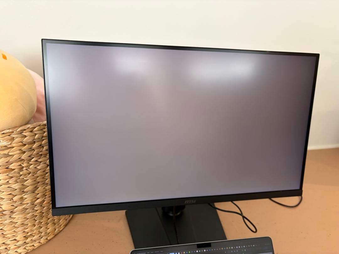 美品 274URF QD ゲーミングディスプレイ MSI モンハン公認 量子