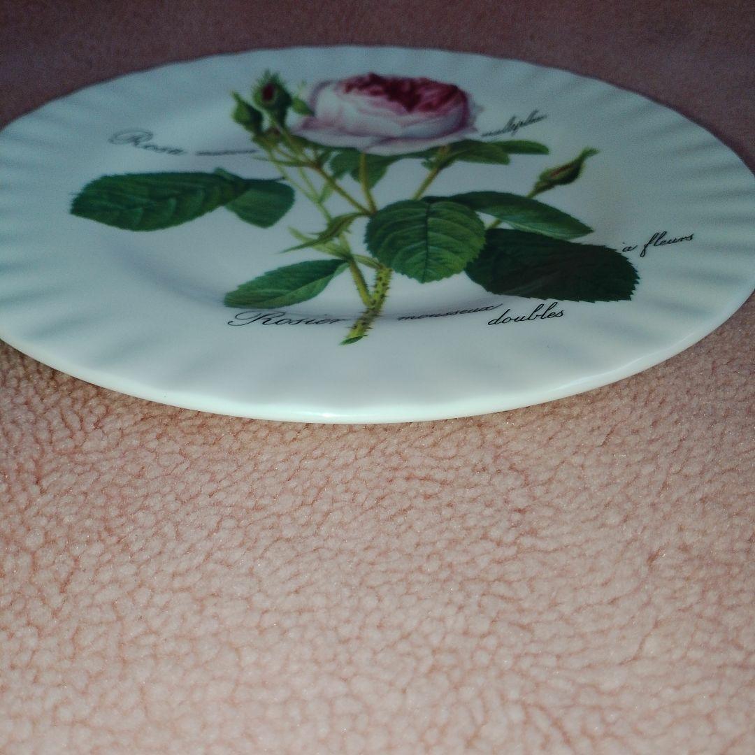 ROY KIRKHAM REDOUTE ROSES プレート ロイ カーカム