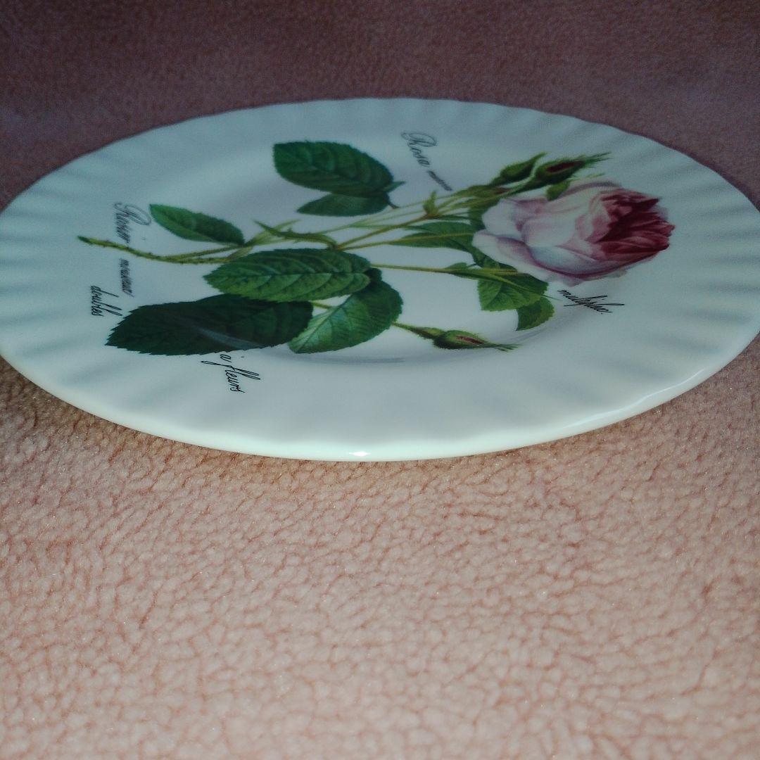 ROY KIRKHAM REDOUTE ROSES プレート ロイ カーカム