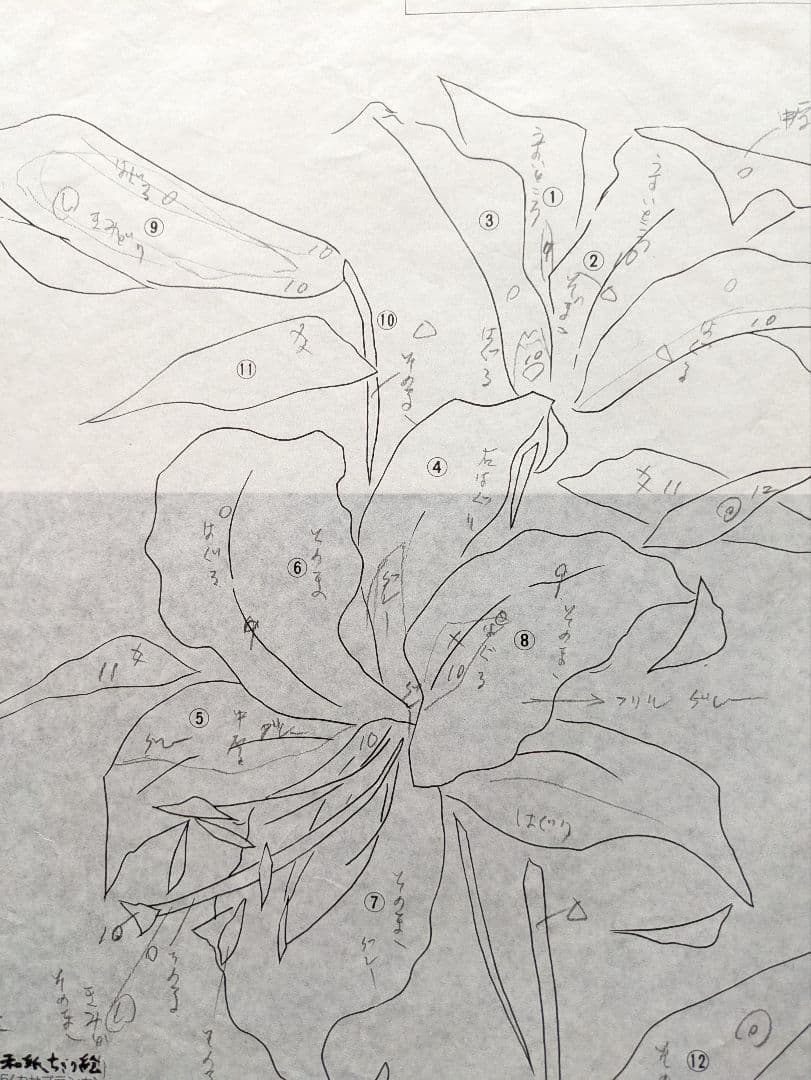 しゅんこう ちぎり絵製作キット椿,夾竹桃,トルコききょう,カサブランカ４セット