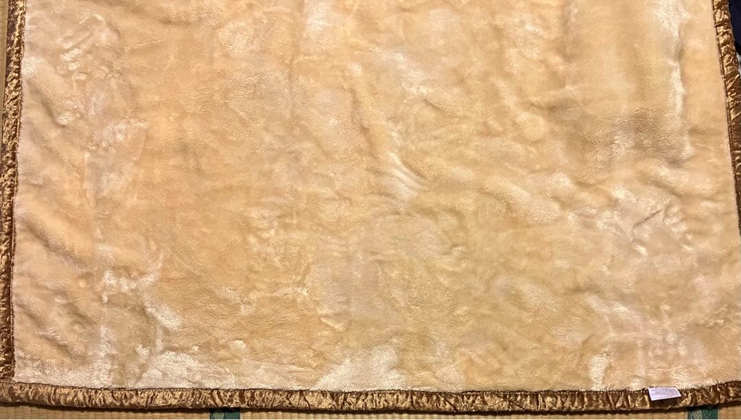 新品☆毛布　シングル　最終値下げ