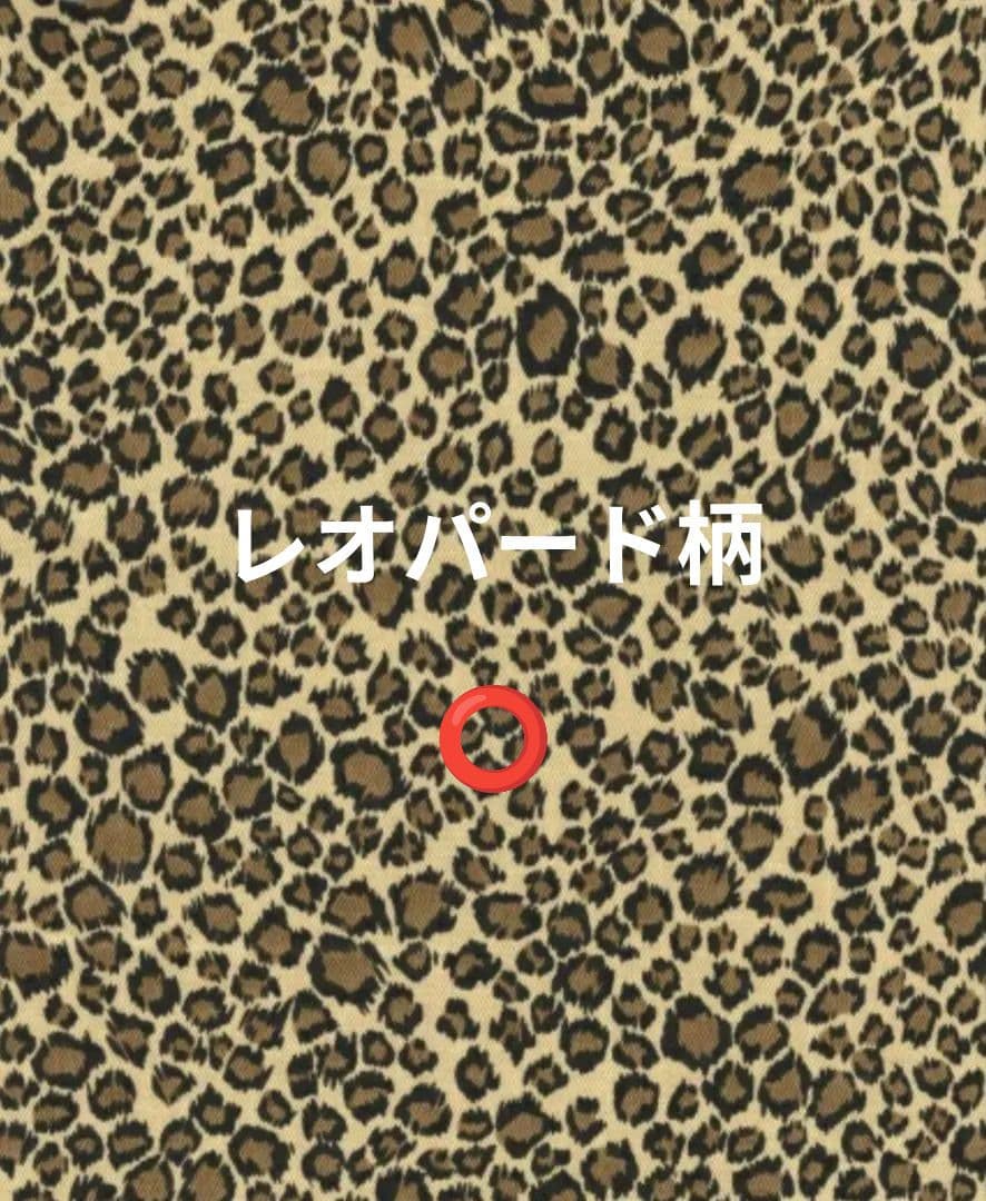 Ren様オーダーページ　レッスンバッグ　ナップザック型お着替え袋　お道具袋