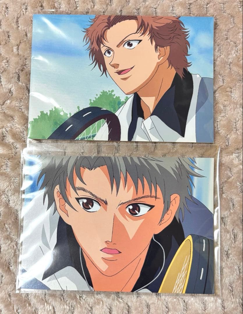 【現品限り レア多数】テニスの王子様 氷帝 カード ブロマイド セット 35枚