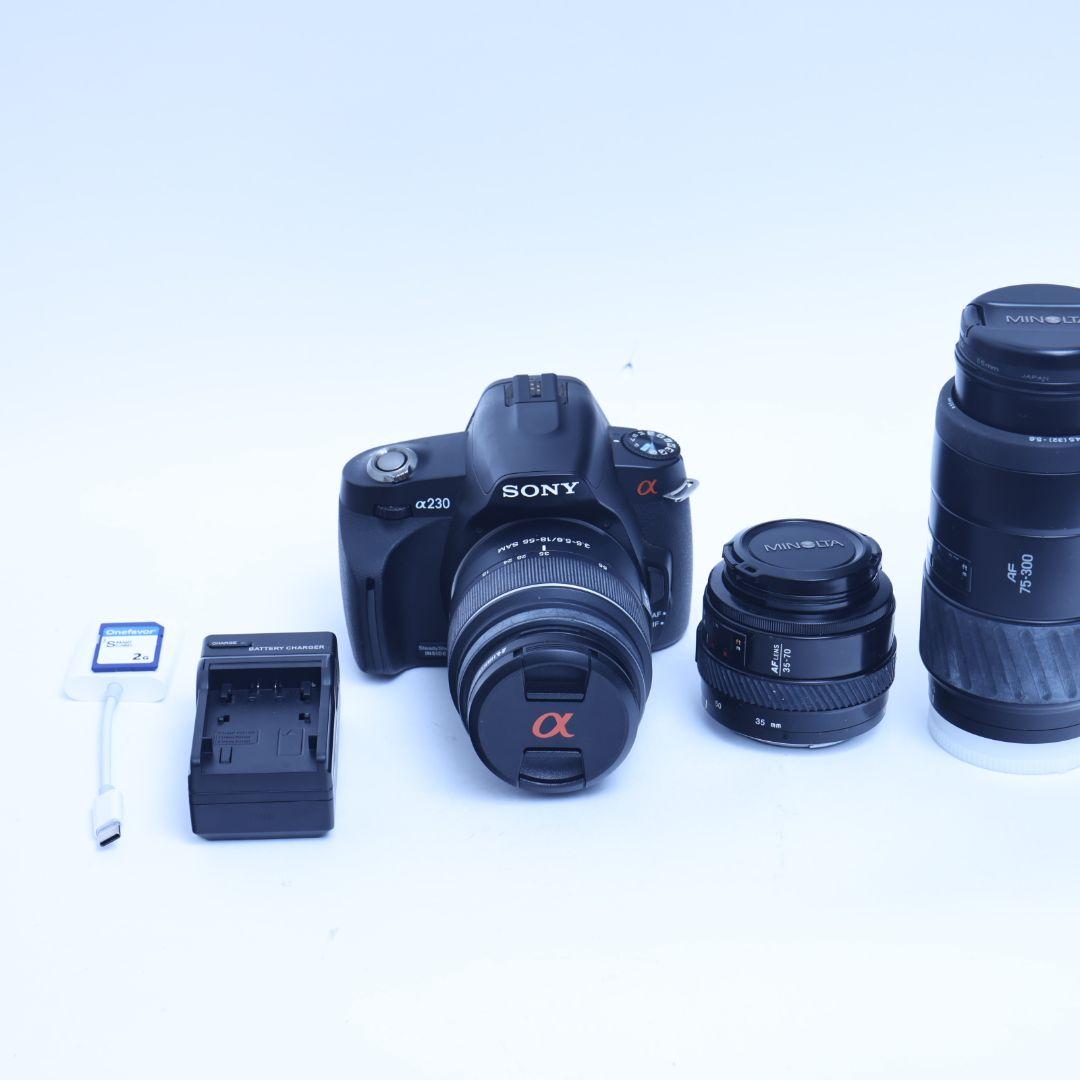 SONY 一眼レフデジタルカメラ 電池 充電器 標準レンズ付 α230
