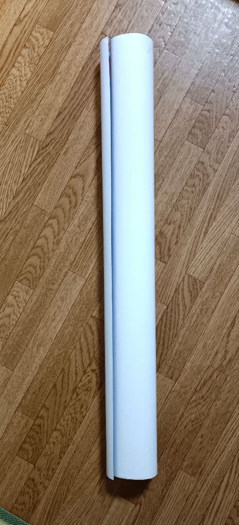 【非売品 希少】不思議のダンジョン 風来のシレン外伝 女剣士アスカ見参！ポスター