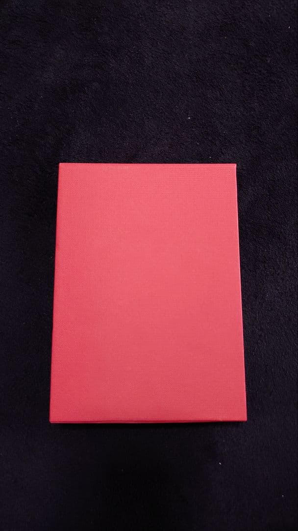 BONAVENTURA iPhone12ProMaxケース