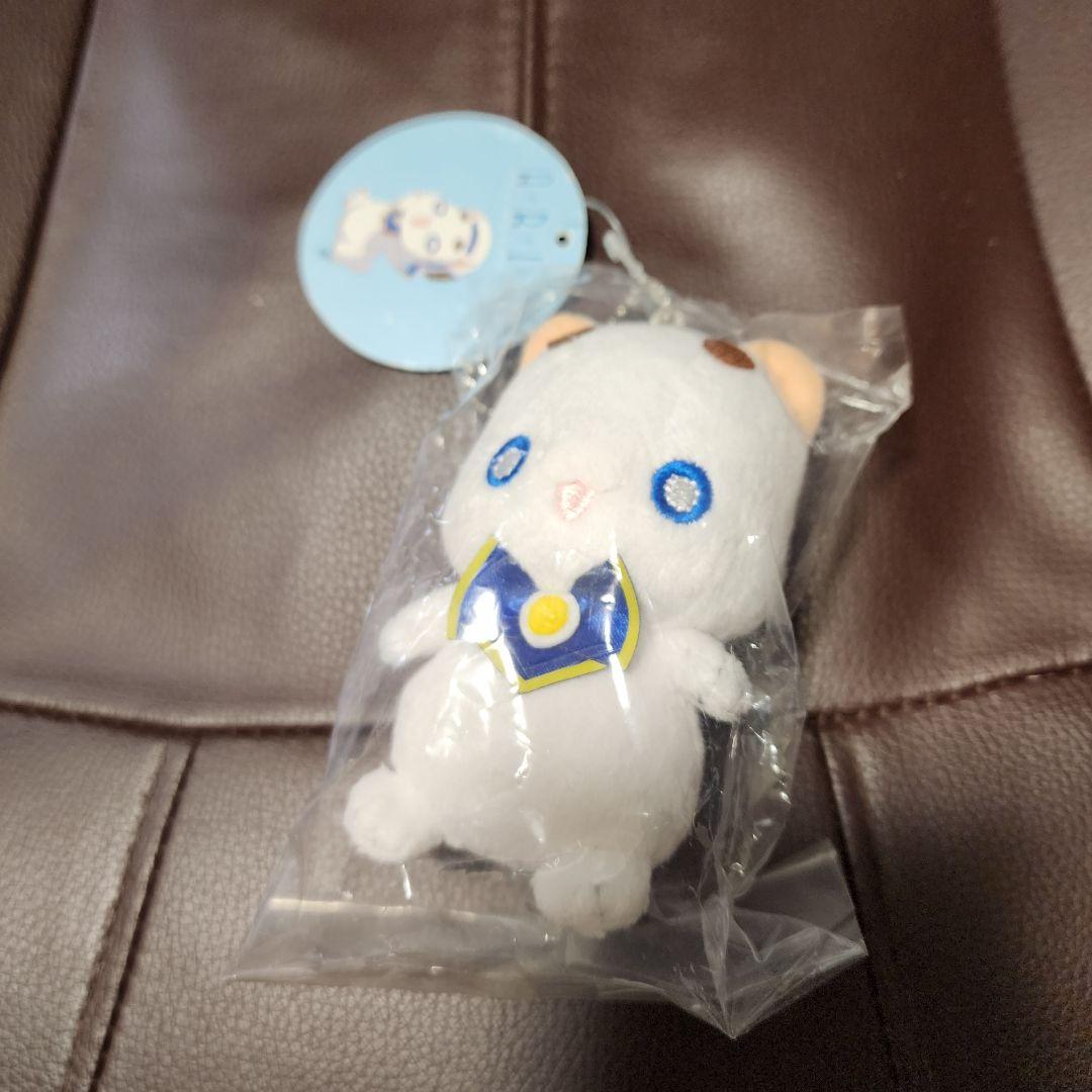 ARIA ぬいぐるみ　ボールチェーン　セット