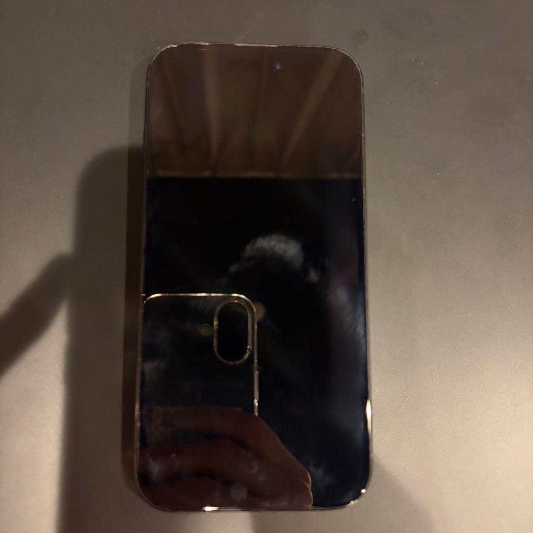 Apple iPhone 15 256GB SIMフリー