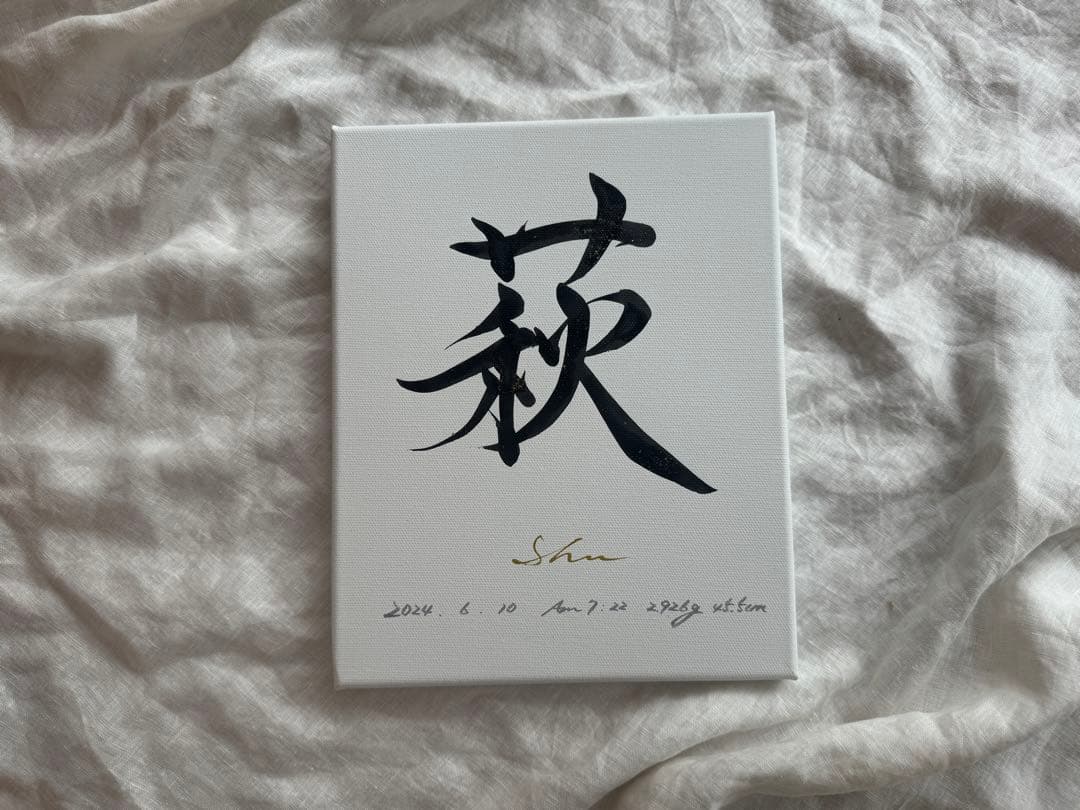 Hikaru　お一人目修正あり「私が欲しい命名書」キャンバス送料無料