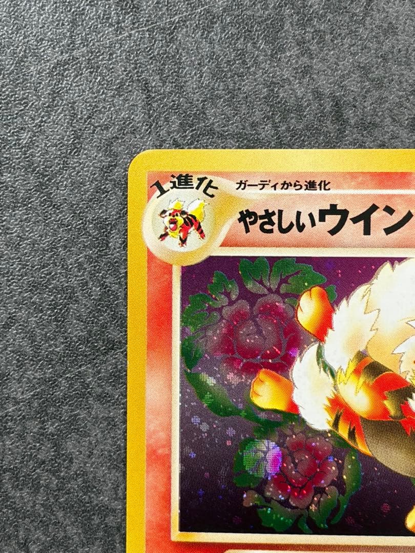 やさしいウインディ　旧裏カード　拡張パック第4弾 闇そして光へ　ホロ