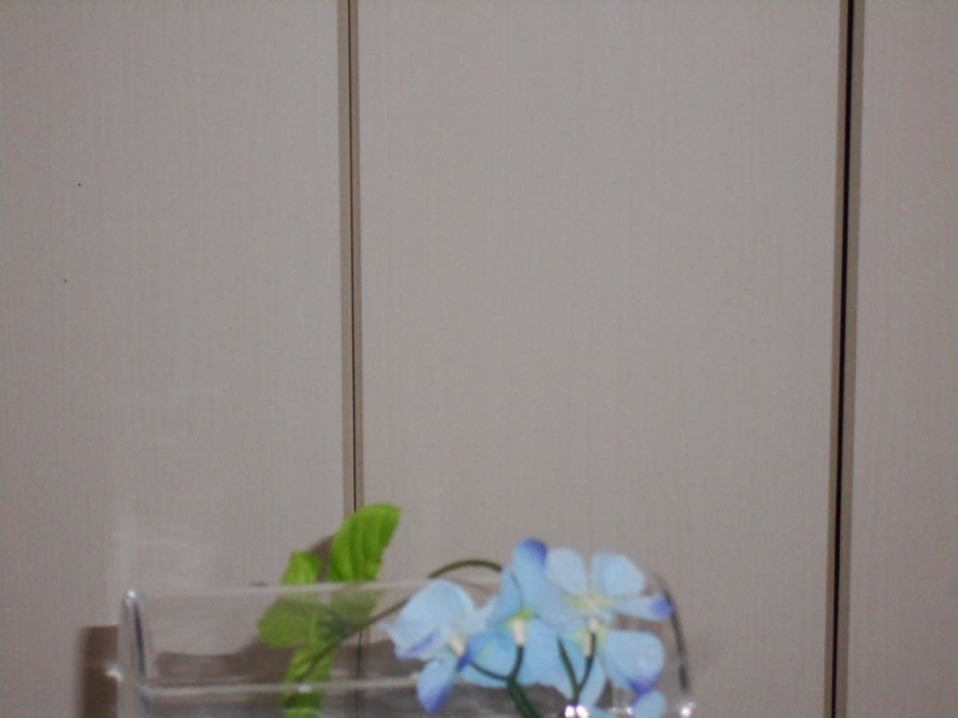 美品　Nikon COOLPIX A100 レッド　コンデジ　動作品