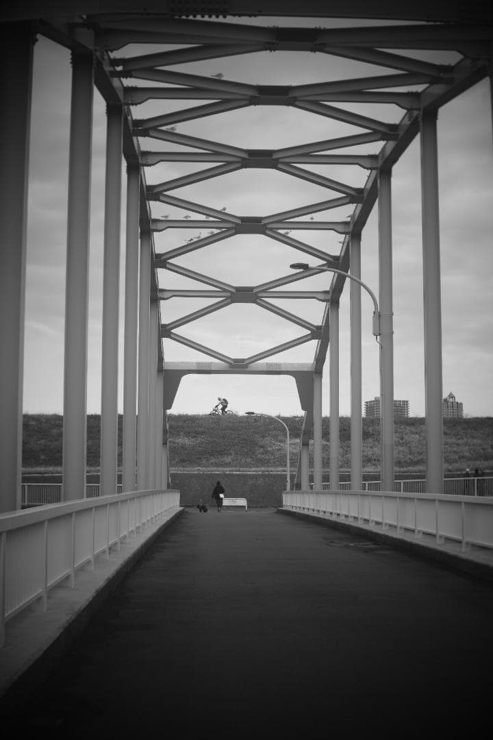 限界値下げ！Som Berthiot Cinor 50mm f3.5 M改 銘玉