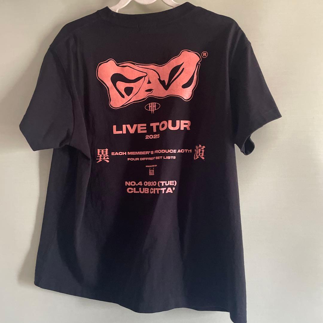 theGazettE 戒さんのライブグッズTシャツ