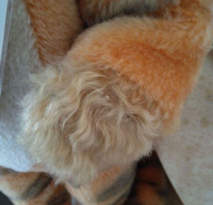 ロザリーフリッシュマン作　ディズニー♡ティガー着ぐるみ