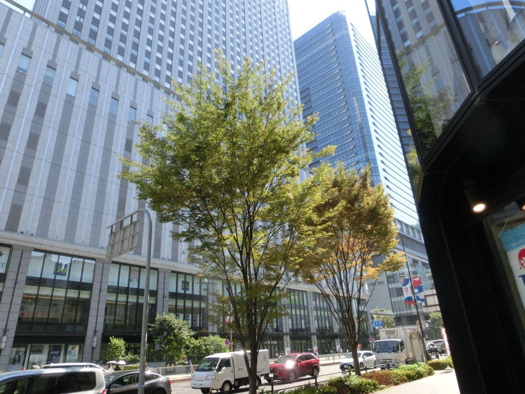 【訳あり】CASIO EXILIM EX-ZR400 コンデジ 作例有